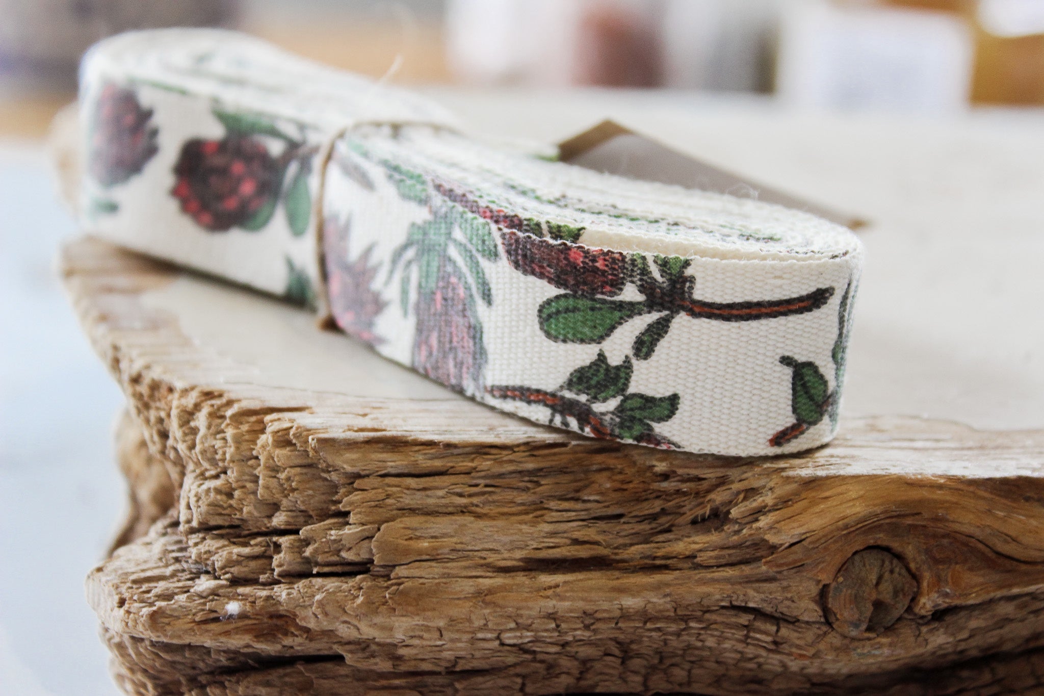 Ribbon 4m | Protea Large