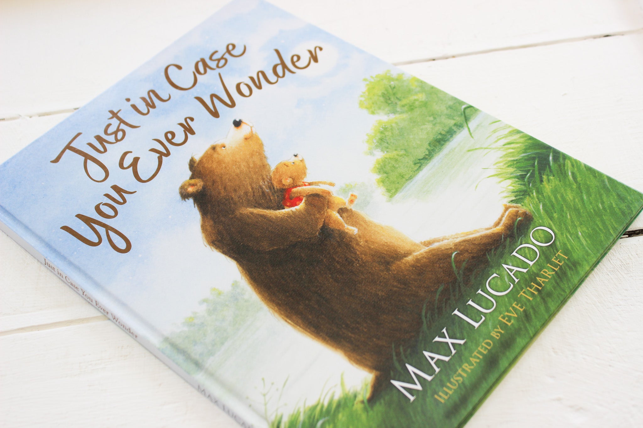 Just In Case You Ever Wonder HC