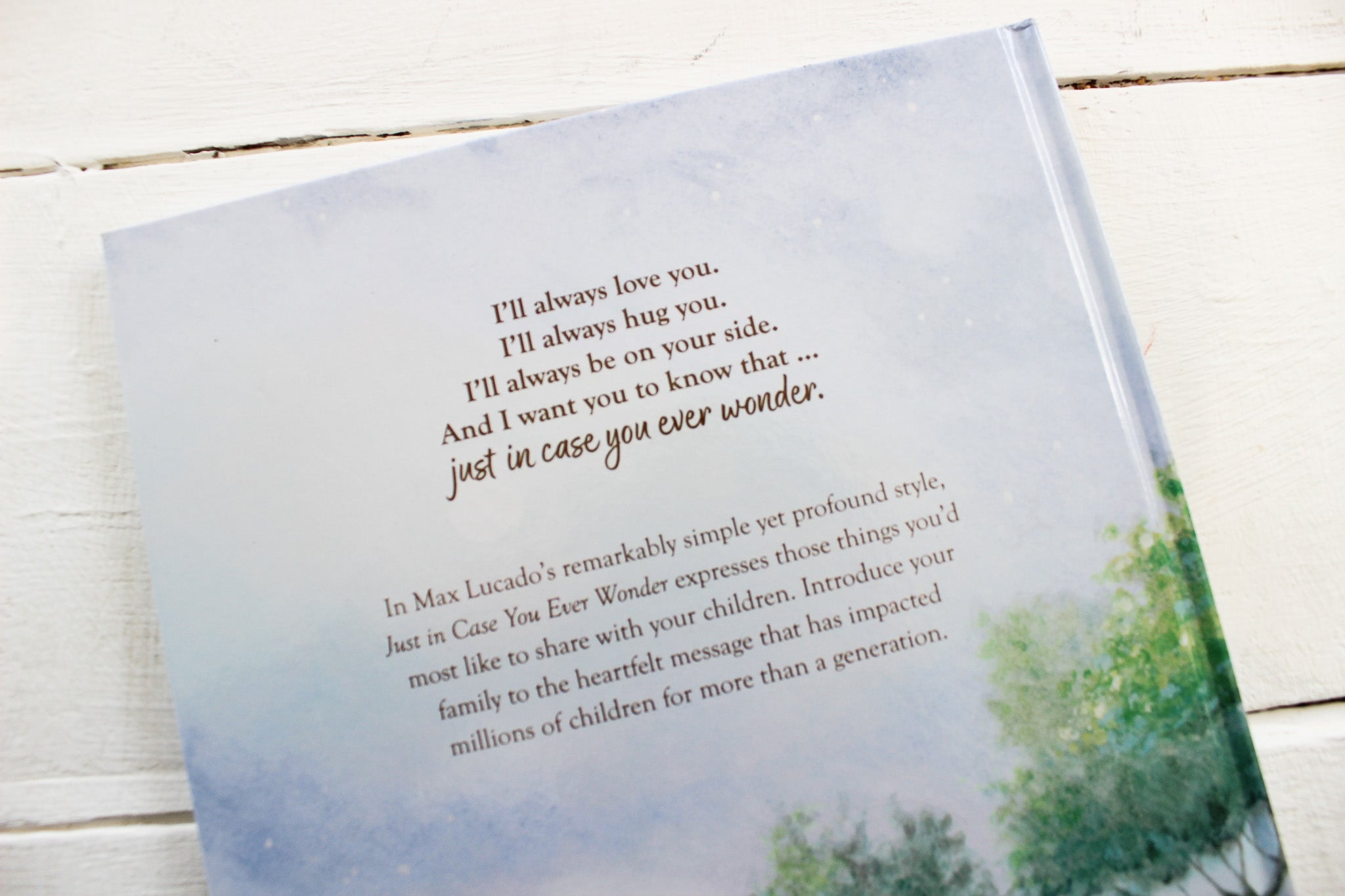 Just In Case You Ever Wonder HC