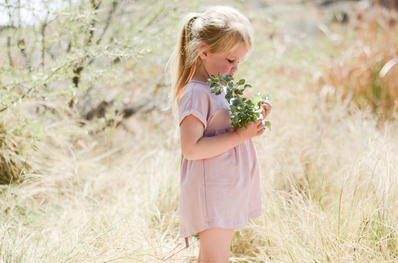 Tia Dress | Pink