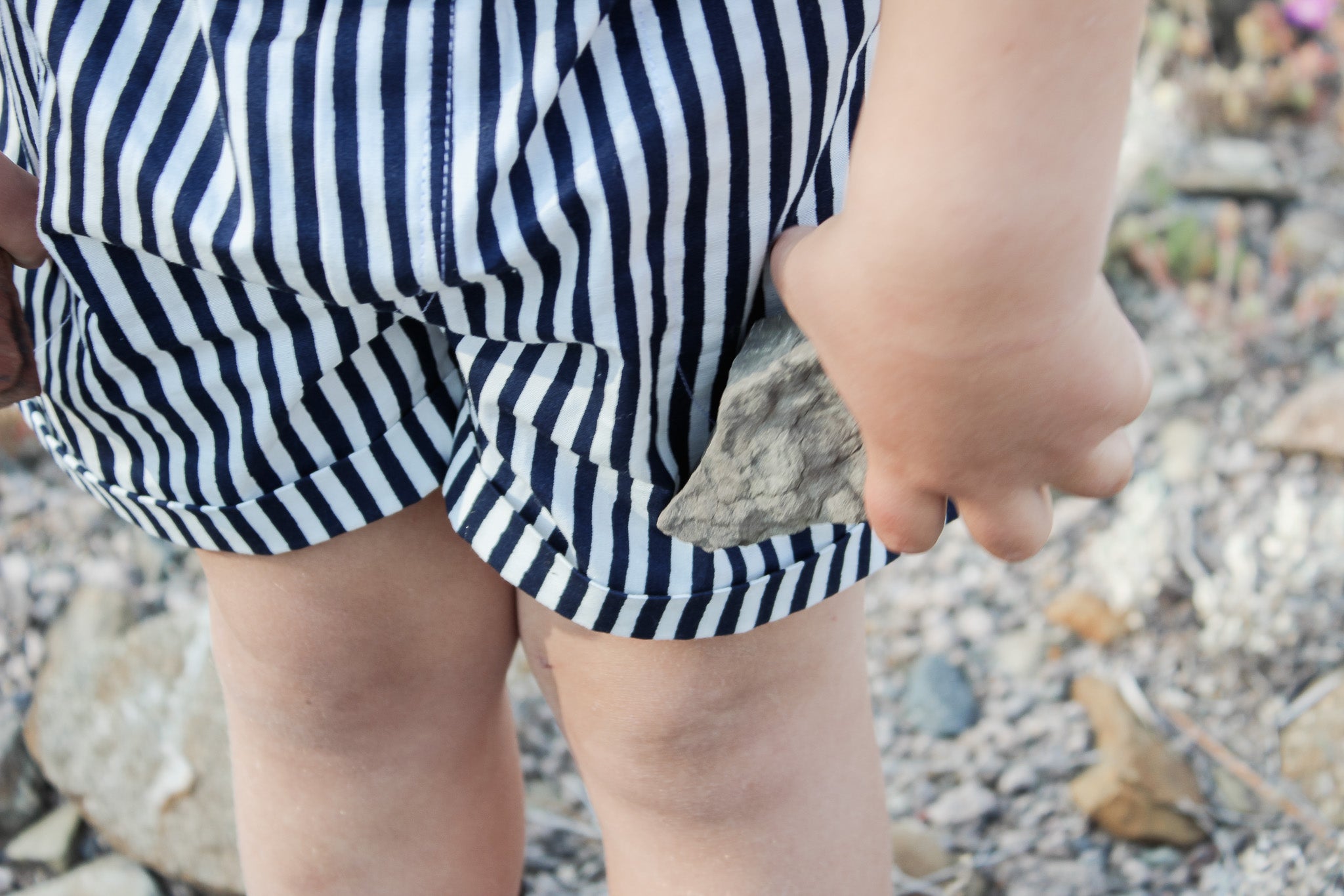 Henk Shorts | Navy Stripe