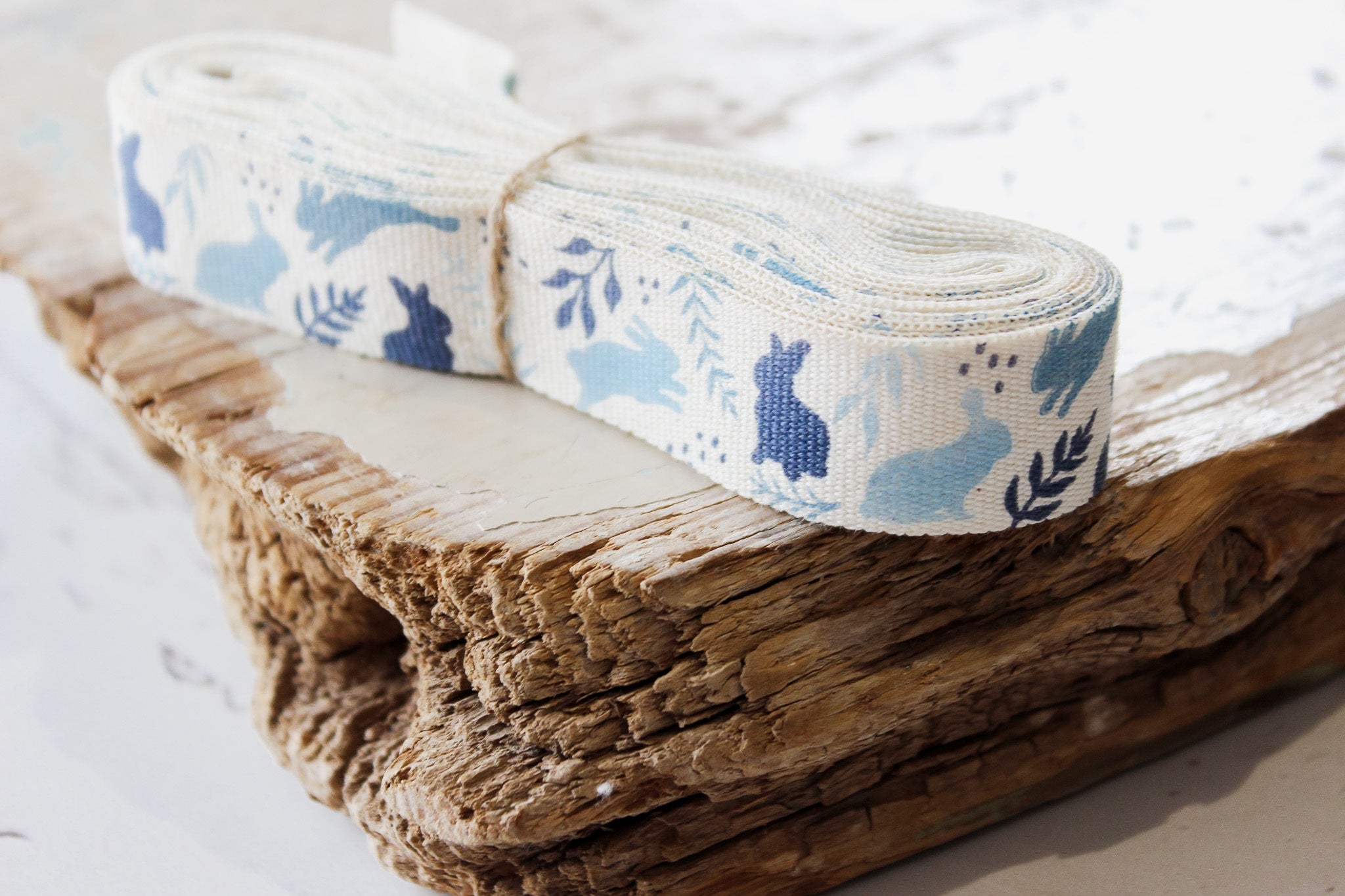 Ribbon 4m | Blue Bunnies