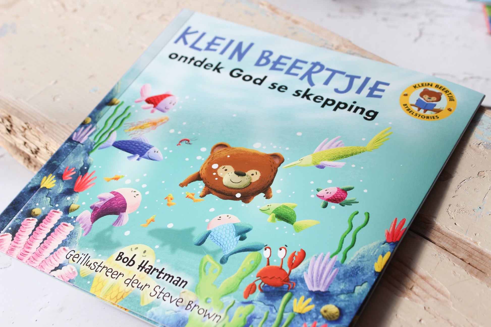 Klein Beertjie Ontdek / Skepping SB