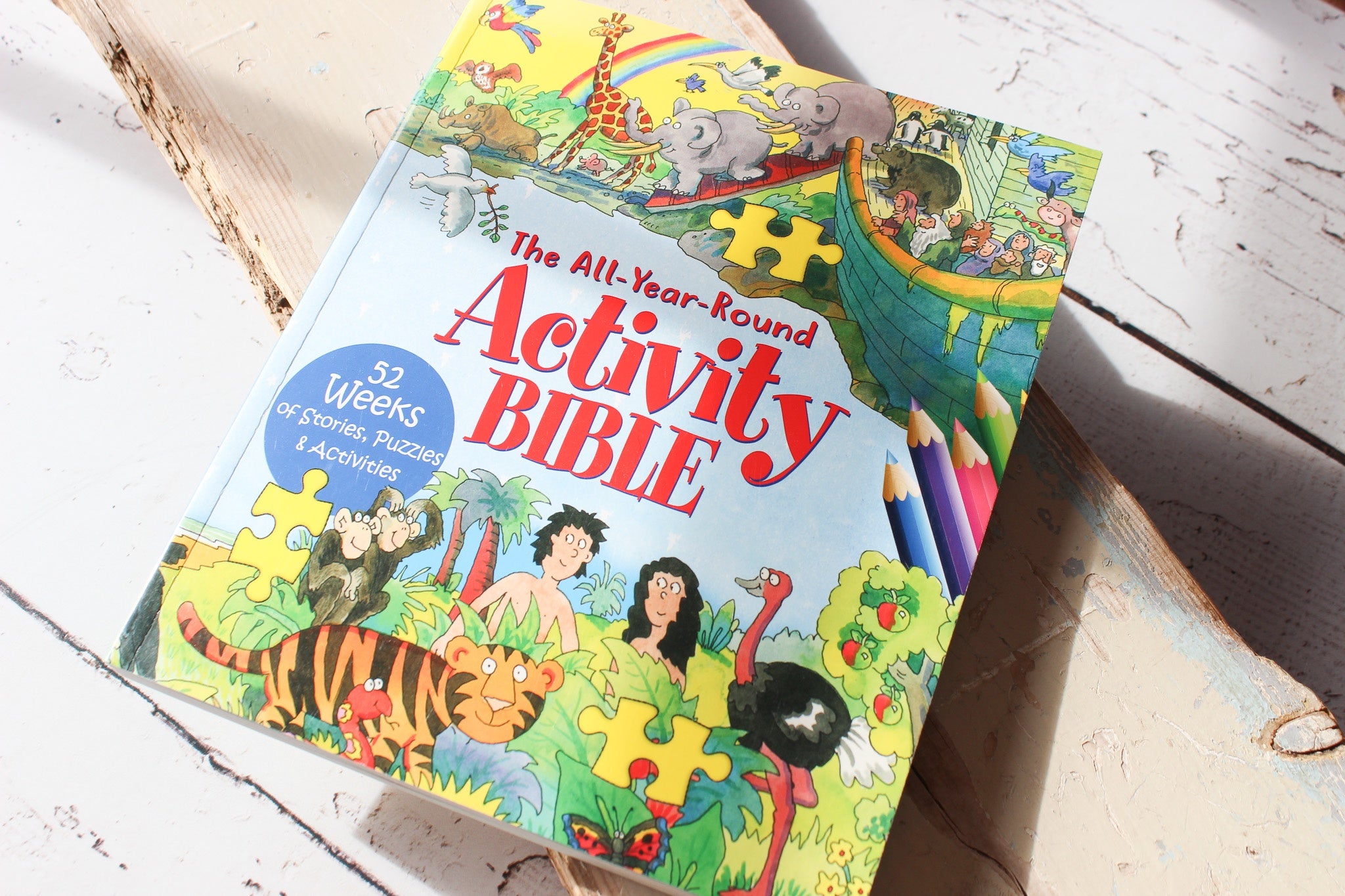 All-Year-Round Activity Bible PB