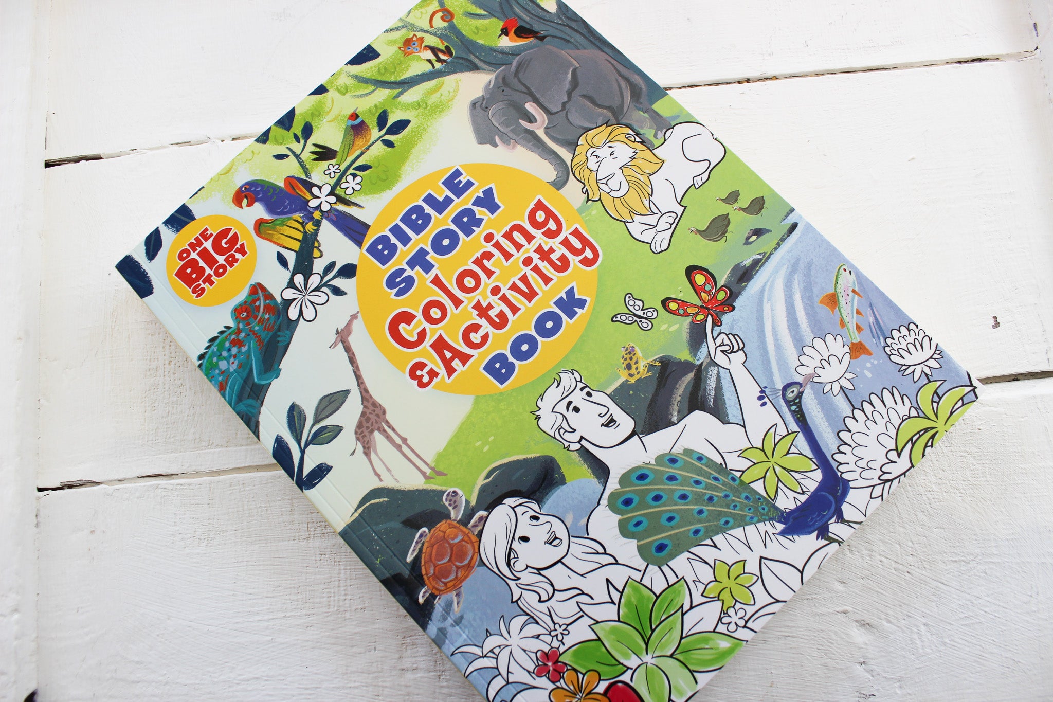 Bible Story Coloring And Activity Book PB