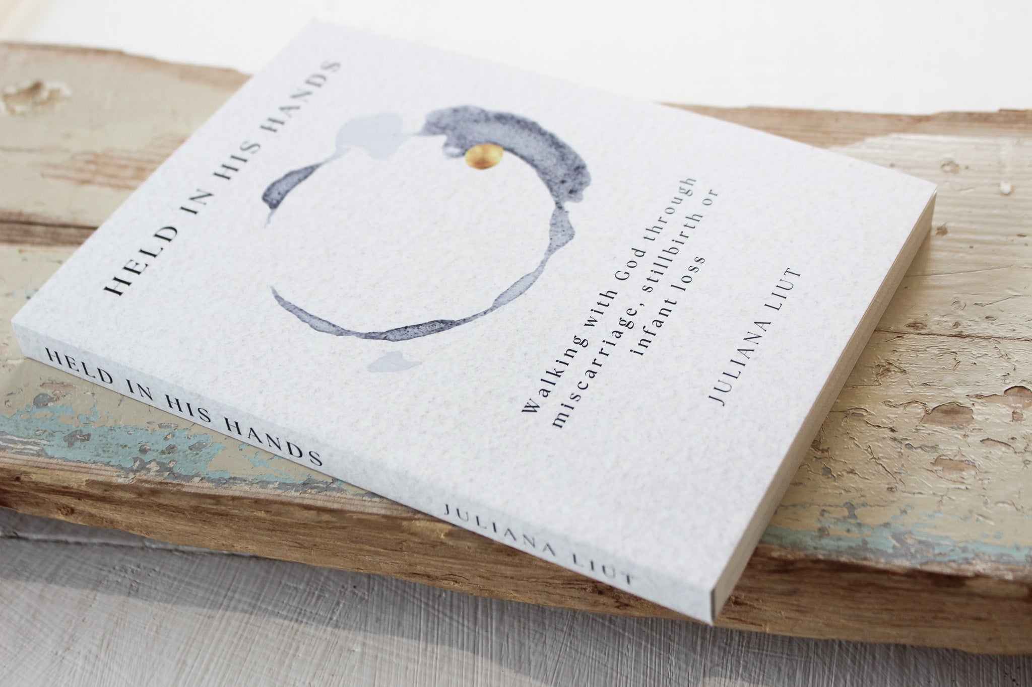 Book | Held in His Hands