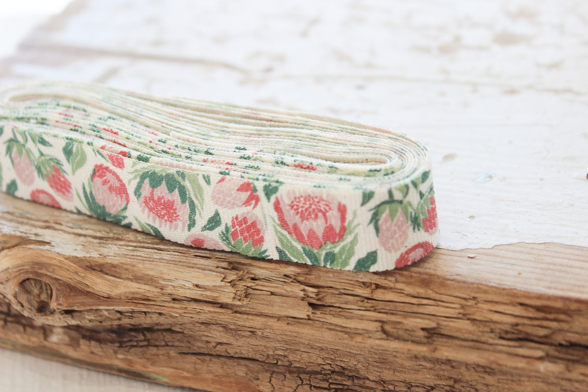 Ribbon 4m | Protea