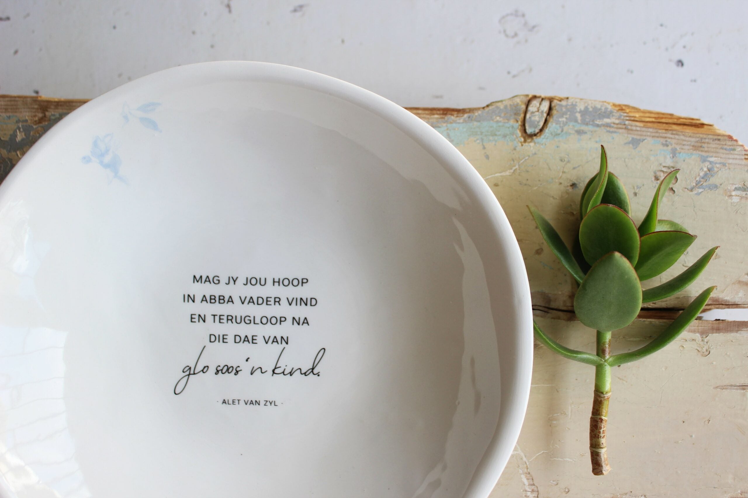 Karoo Pasta bowl  |  Hoop in Abba Vader