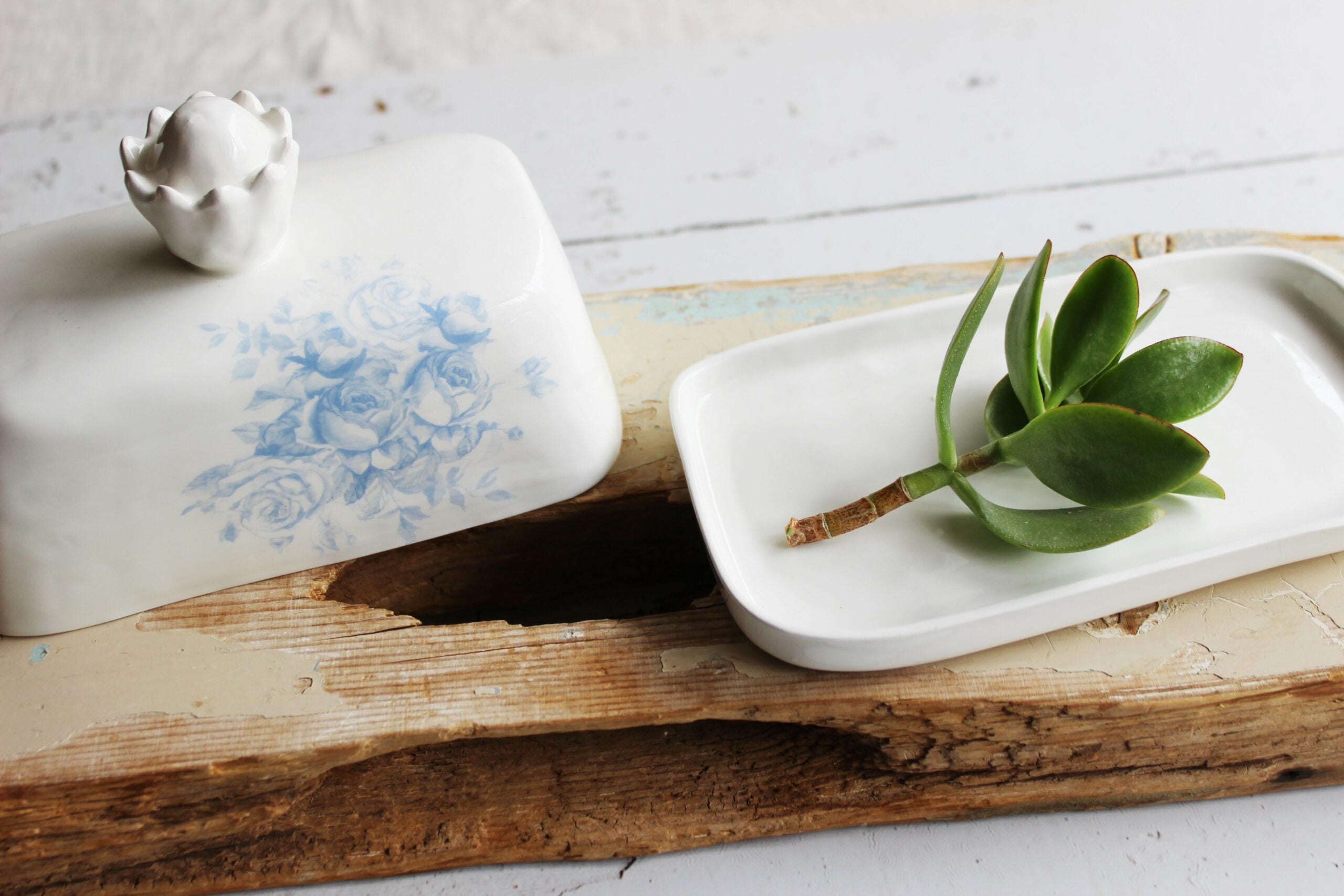 Butter dish |  Rose Garden